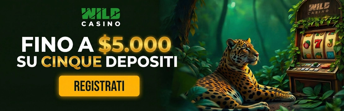 Casino Wild